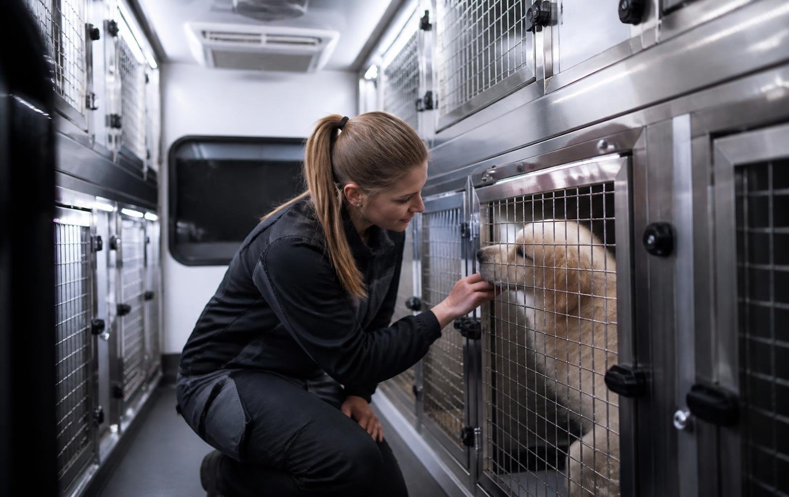 Handler checking a dog inside a climate-controlled pet transport vehicle